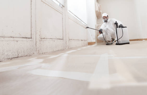 24/7 Emergency Bathroom Mold Removal experts in Henderson, KY