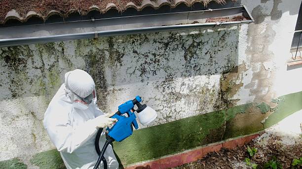 Top rated local Bathroom Mold Removal specialists in Henderson, KY